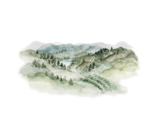 The Blue Ridge Mountains
