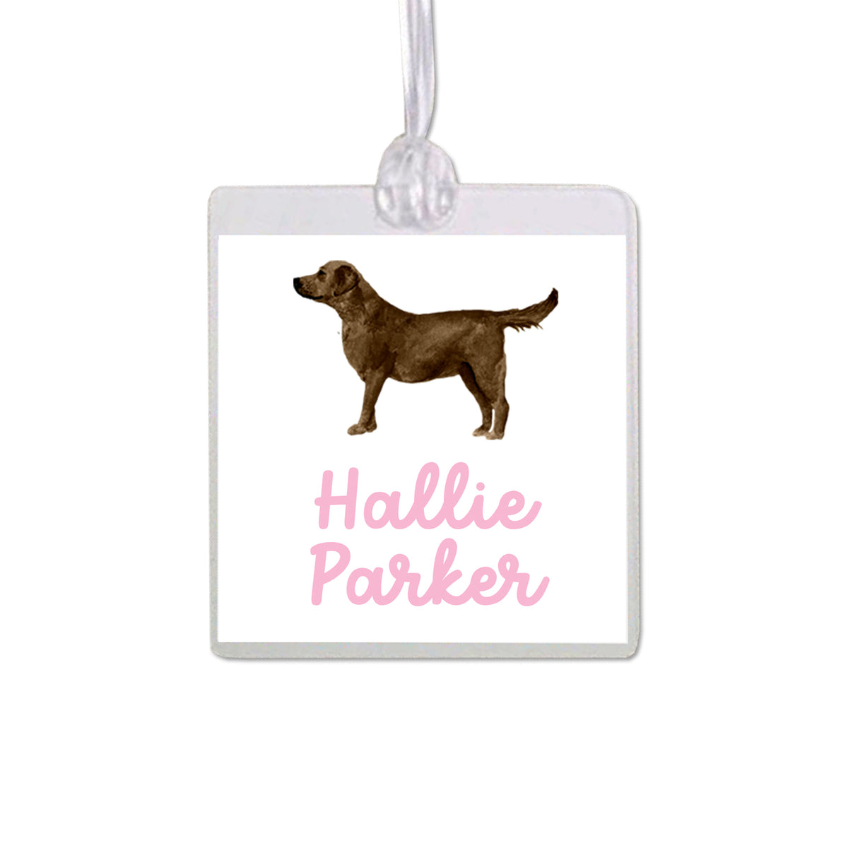 Chocolate Labrador Retriever Bag Tag