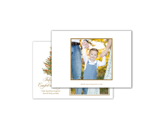 Citrus Christmas Cards - Gold