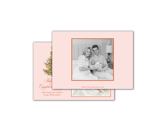 Citrus Christmas Cards - Pink