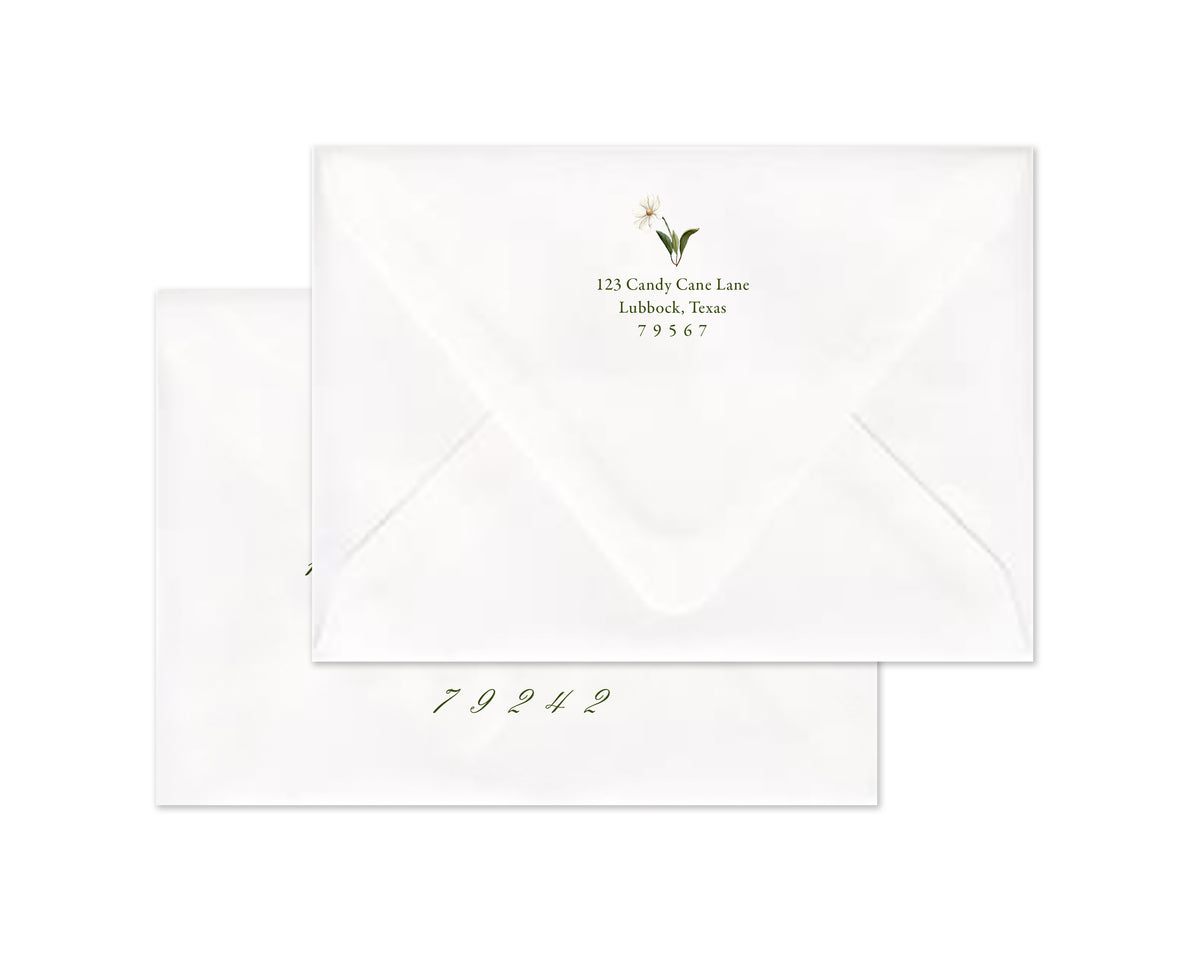 Snow Vine Personalized Christmas Cards - Taupe