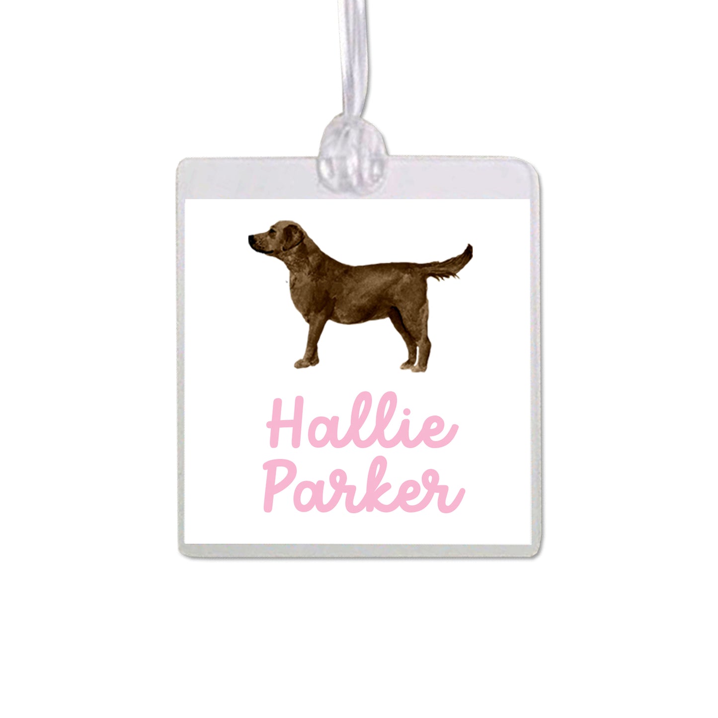 Chocolate Labrador Retriever Bag Tag