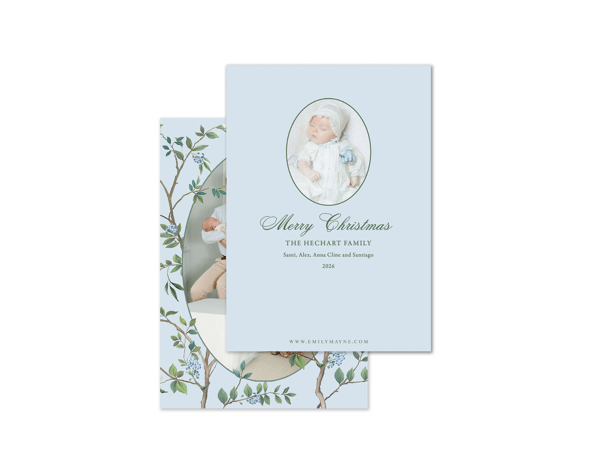 Chinoiserie Personalized Christmas Cards - Blue