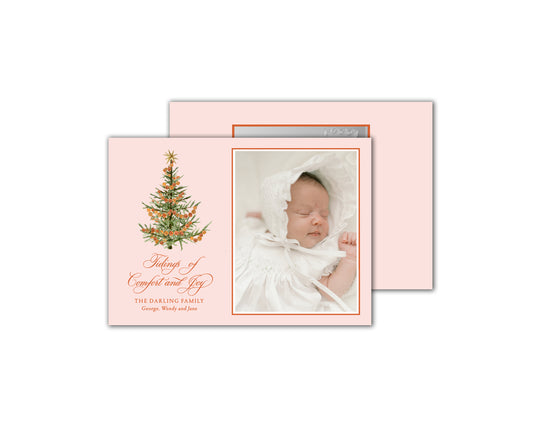Citrus Christmas Cards - Pink