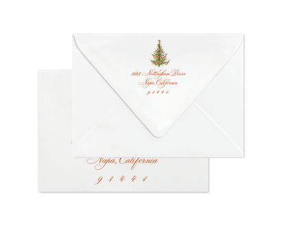 Citrus Christmas Cards - Pink
