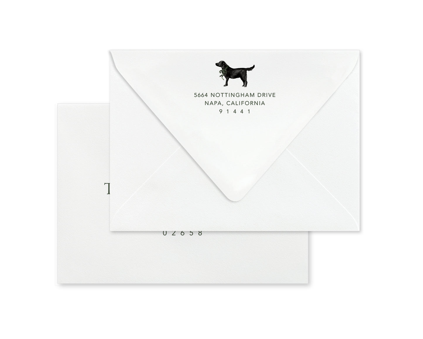 Black Labrador Retriever Christmas Cards