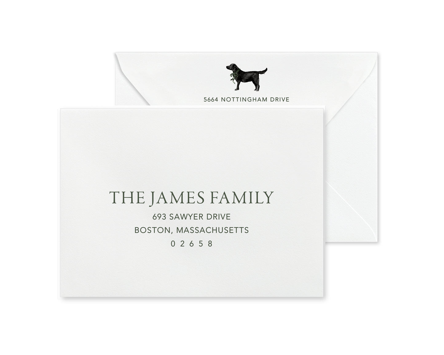 Black Labrador Retriever Christmas Cards