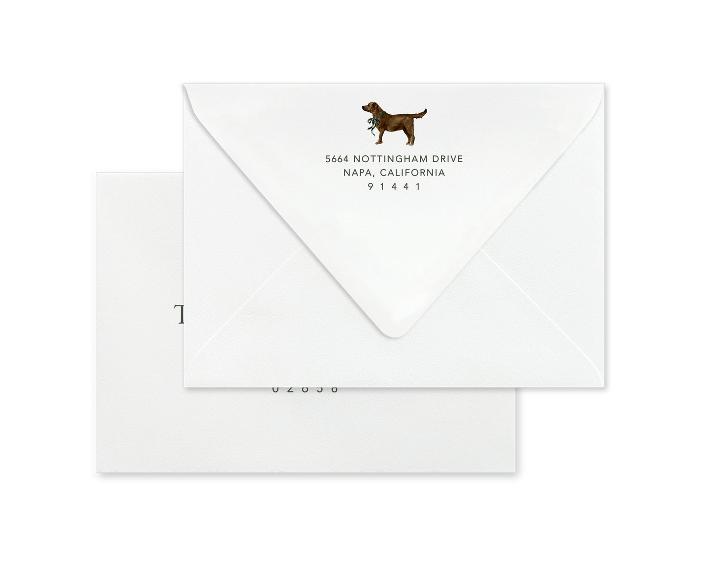 Chocolate Labrador Retriever Christmas Cards