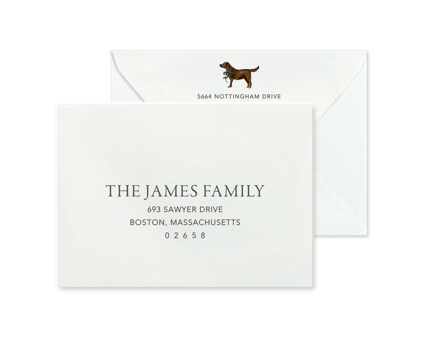 Chocolate Labrador Retriever Christmas Cards