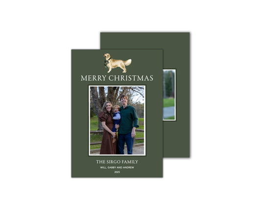 Golden Retriever Christmas Cards