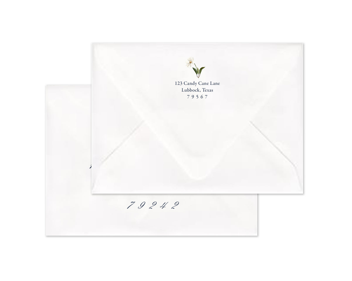 Snow Vine Personalized Christmas Cards - Navy