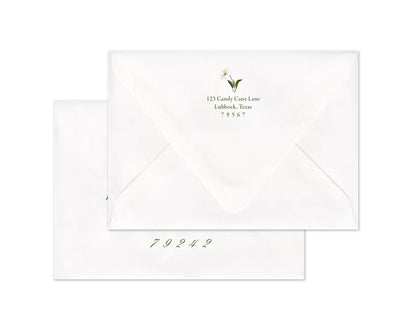 Snow Vine Personalized Christmas Cards - Taupe